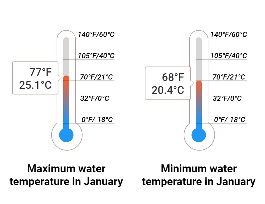 Average Sea temperature